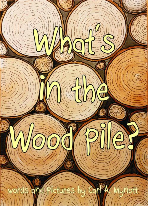 What's in the Wood Pile? 