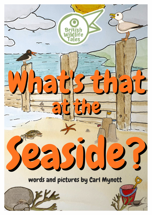 What's that at the Seaside?
